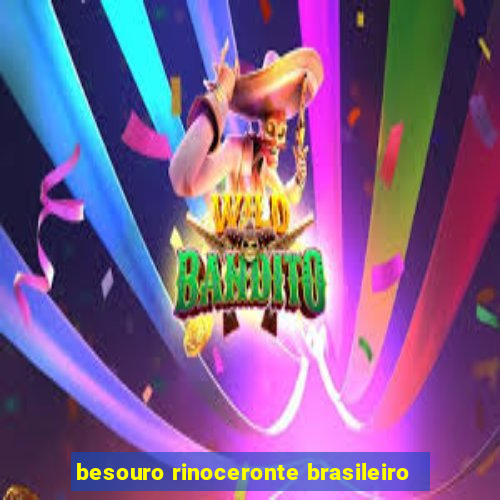 besouro rinoceronte brasileiro