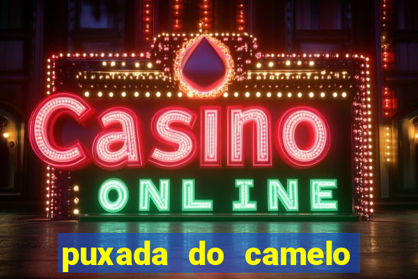 puxada do camelo no jogo do bicho