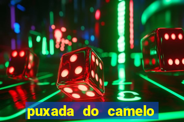 puxada do camelo no jogo do bicho