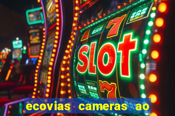 ecovias cameras ao vivo santos