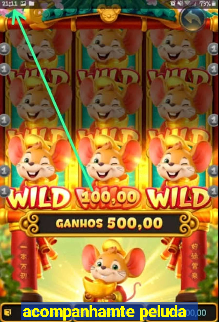 acompanhamte peluda
