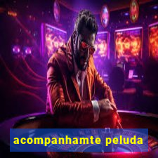 acompanhamte peluda