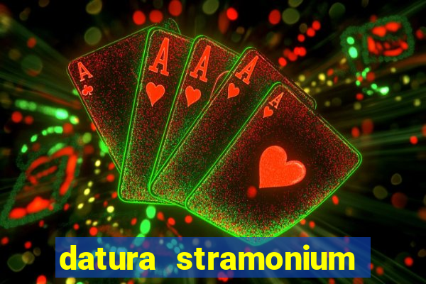 datura stramonium medicinal uses