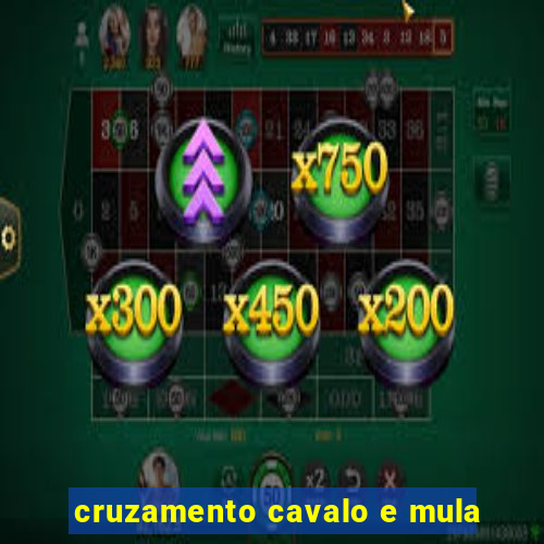 cruzamento cavalo e mula