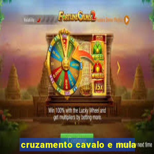 cruzamento cavalo e mula
