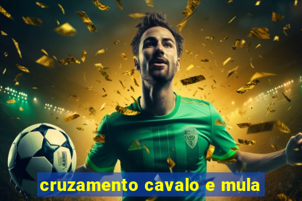 cruzamento cavalo e mula