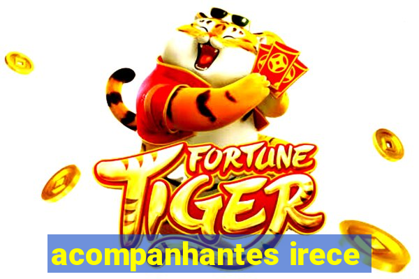 acompanhantes irece