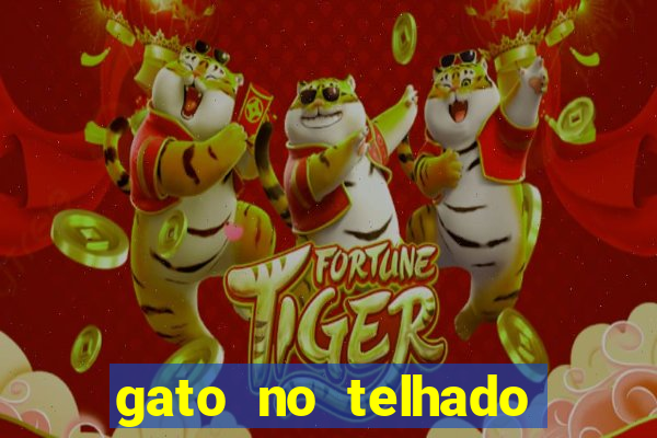gato no telhado significado espiritual