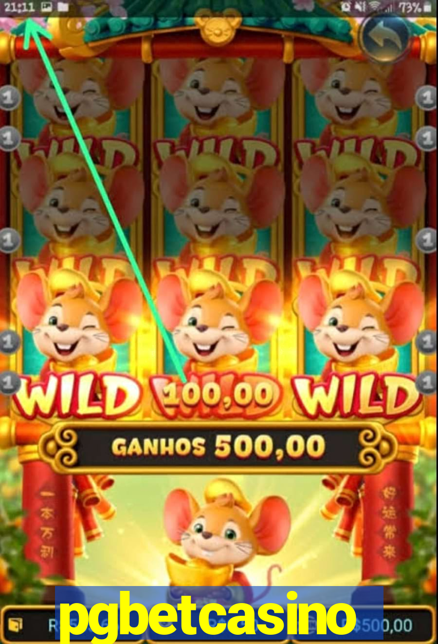 pgbetcasino