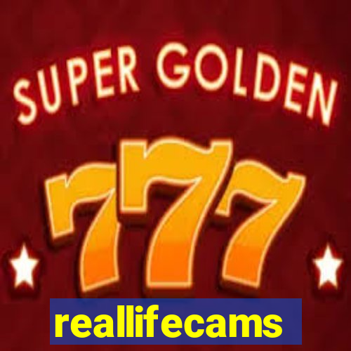 reallifecams