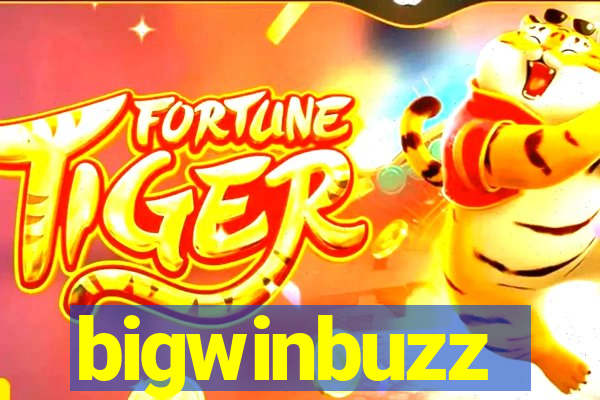bigwinbuzz
