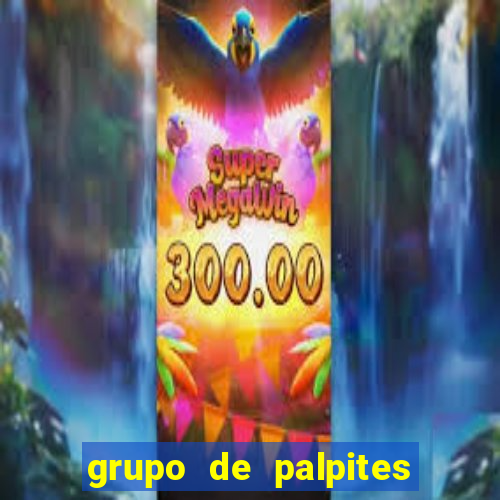 grupo de palpites de futebol telegram