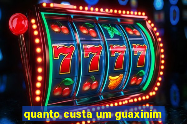 quanto custa um guaxinim