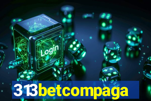 313betcompaga
