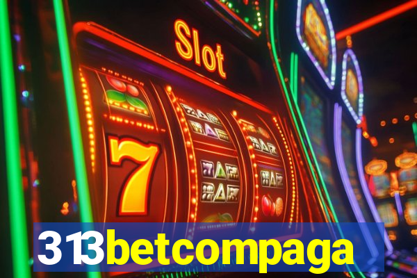 313betcompaga