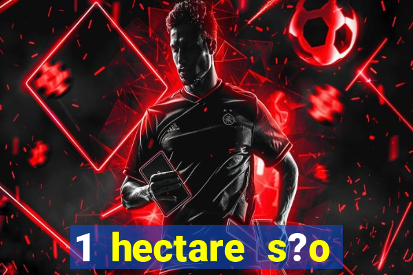 1 hectare s?o quantas tarefas na bahia