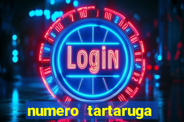 numero tartaruga jogo do bicho