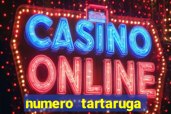 numero tartaruga jogo do bicho