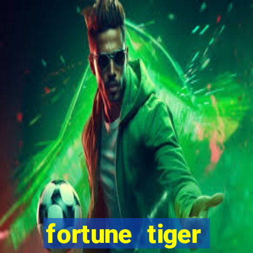 fortune tiger cassino pix