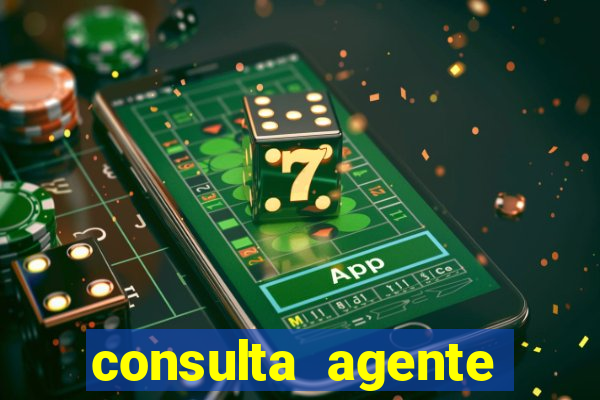 consulta agente autuador sp