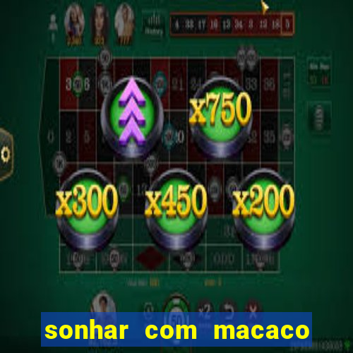 sonhar com macaco o que significa
