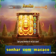 sonhar com macaco o que significa