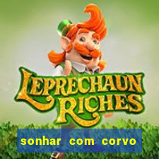 sonhar com corvo preto atacando