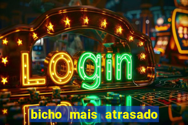 bicho mais atrasado na bahia