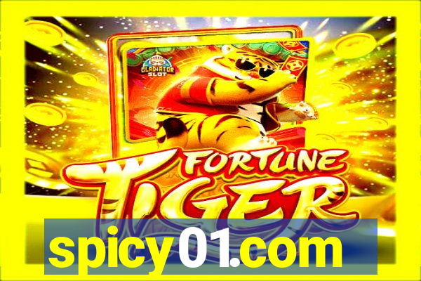 spicy01.com