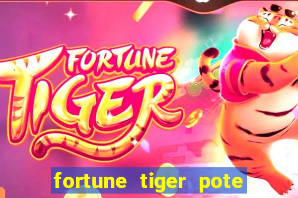 fortune tiger pote de ouro completo