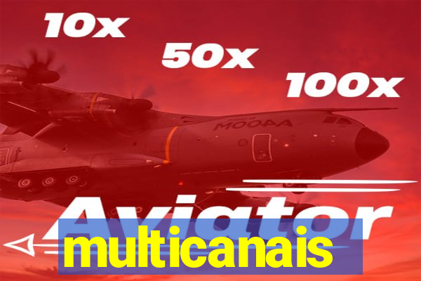 multicanais palmeiras x botafogo