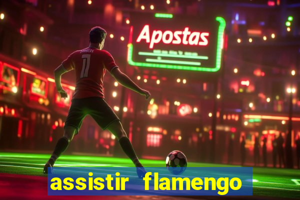 assistir flamengo futebol play hd