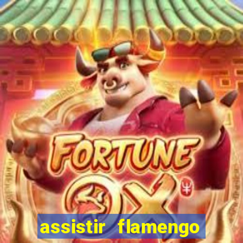 assistir flamengo futebol play hd