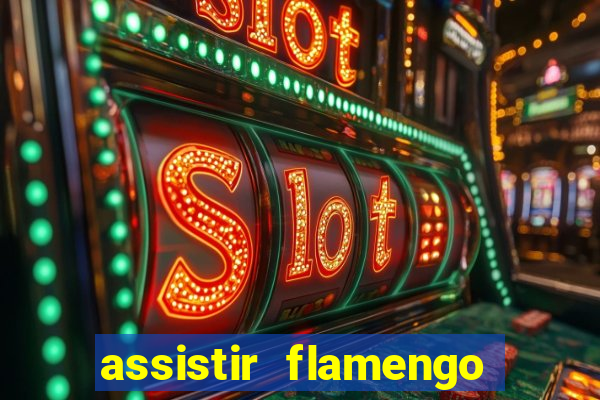 assistir flamengo futebol play hd