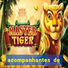 acompanhantes de luxo em salvador