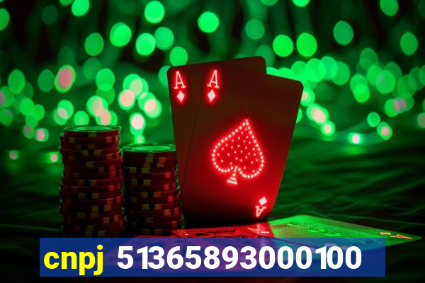 cnpj 51365893000100