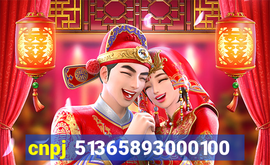 cnpj 51365893000100