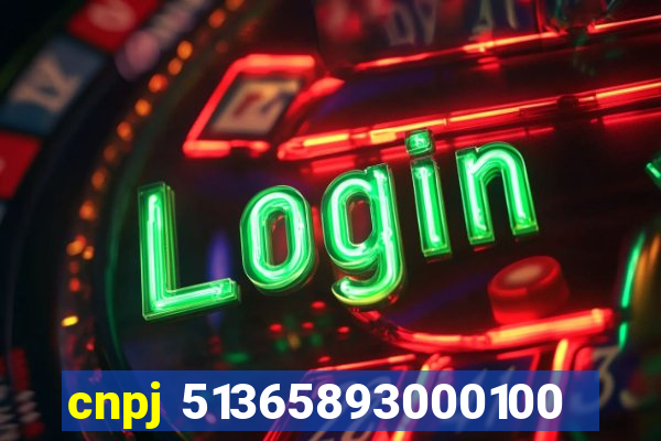 cnpj 51365893000100
