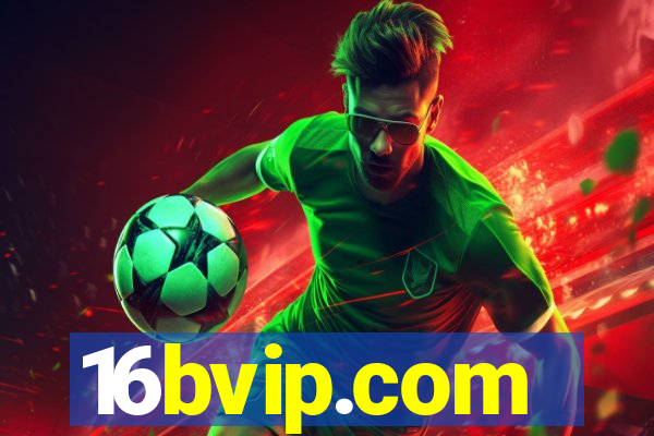16bvip.com