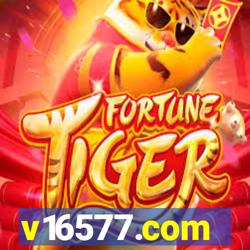 v16577.com