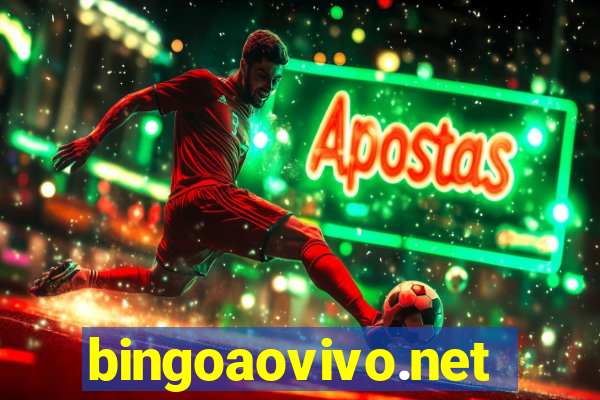 bingoaovivo.net