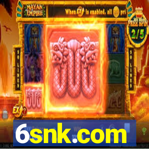 6snk.com