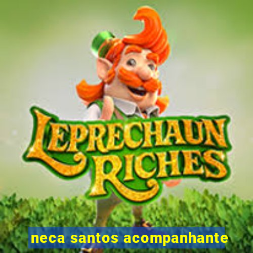 neca santos acompanhante