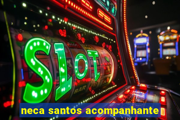 neca santos acompanhante