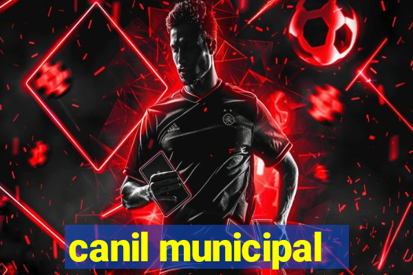 canil municipal