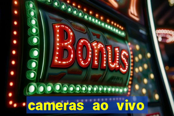 cameras ao vivo beto carrero