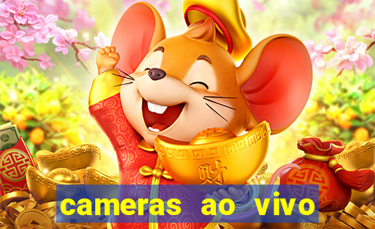 cameras ao vivo beto carrero