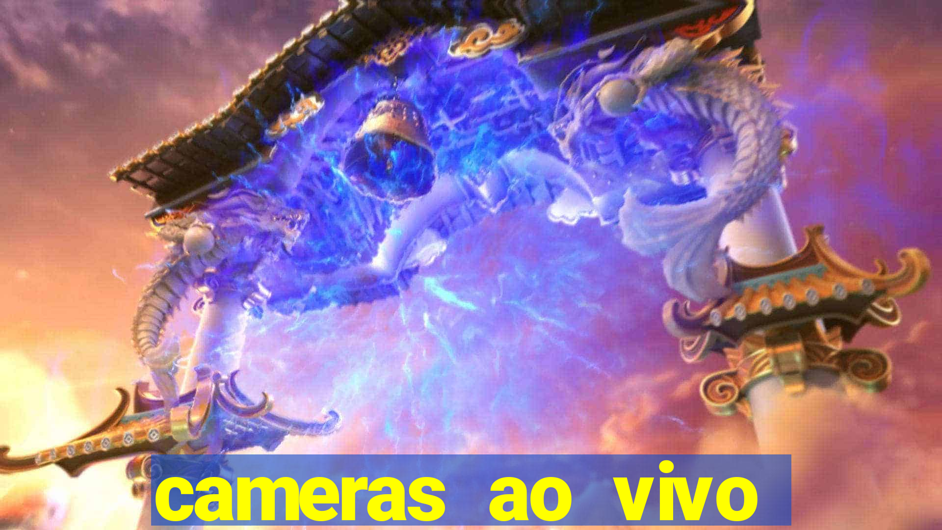 cameras ao vivo beto carrero