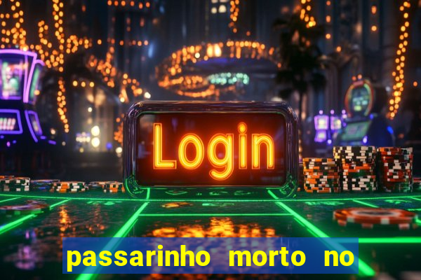 passarinho morto no quintal significado espiritual