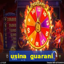 usina guarani tereos tanabi